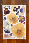 Handmade Blank Card - Pressed Flowers