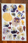 Handmade Blank Card - Pressed Flowers