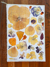 Handmade Blank Card - Pressed Flowers