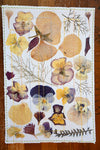 Handmade Blank Card - Pressed Flowers