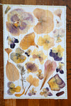 Handmade Blank Card - Pressed Flowers