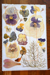 Handmade Blank Card - Pressed Flowers