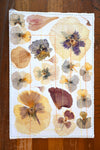 Handmade Blank Card - Pressed Flowers