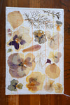 Handmade Blank Card - Pressed Flowers