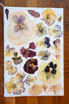 Handmade Blank Card - Pressed Flowers